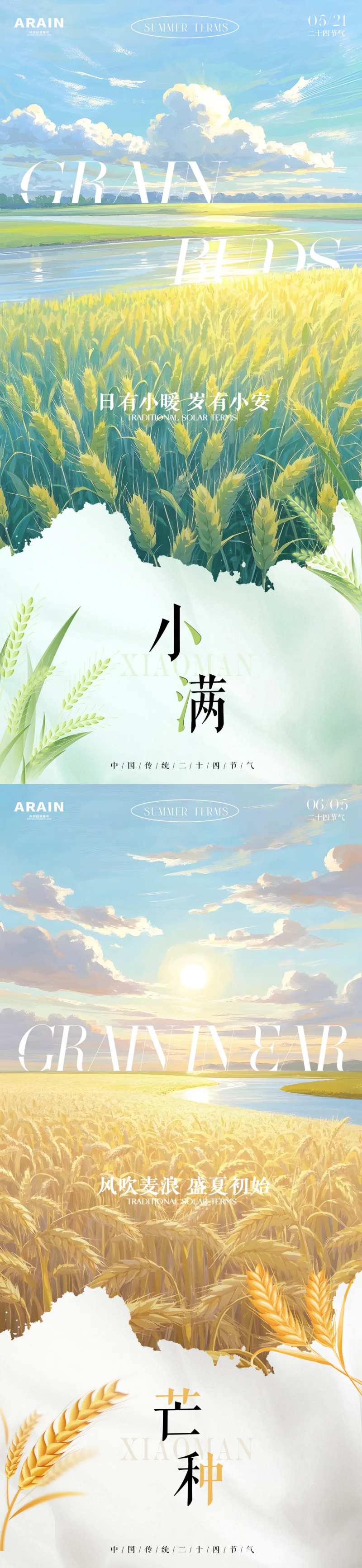 小满芒种麦田插画海报-采灵感-cailinggan.com