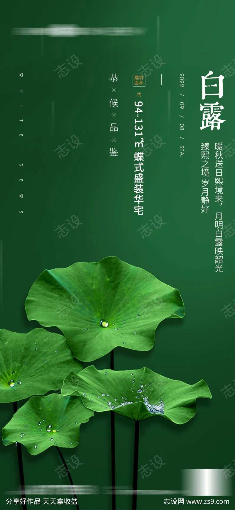 地产白露雨水质感海报-采灵感-cailinggan.com