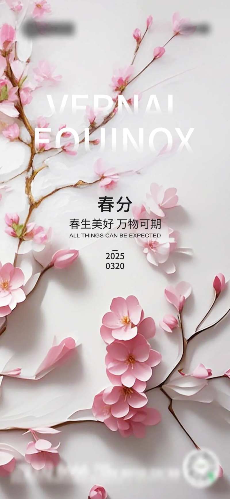 春分花瓣素材 -采灵感-cailinggan.com