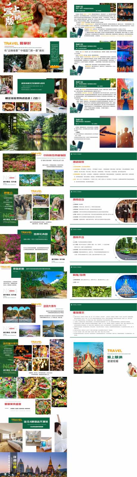 爱上版纳旅游PPT-采灵感-https://www.cailinggan.com/