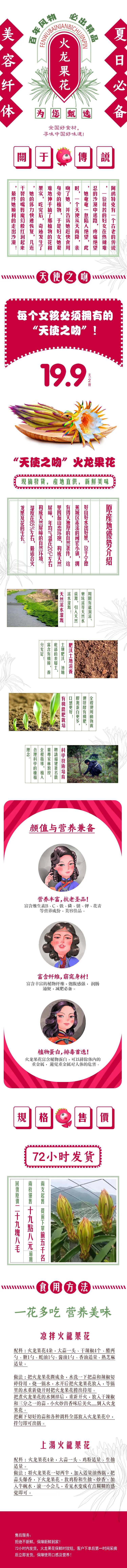 港味火龙果花详情页-采灵感-cailinggan.com