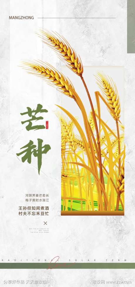 二十四节气芒种海报-采灵感-cailinggan.com