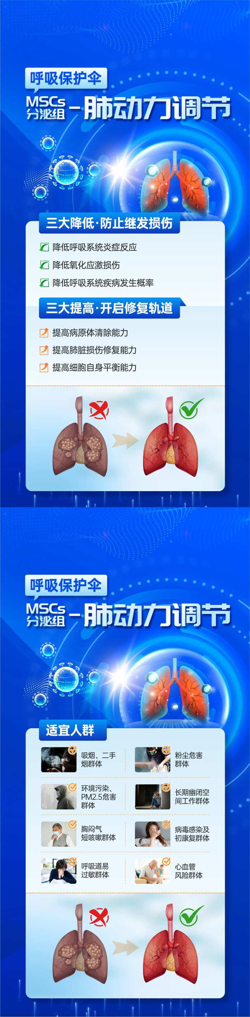 细胞调节肺部海报-采灵感-cailinggan.com