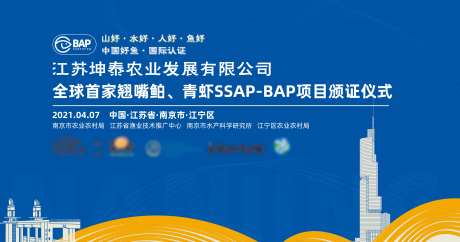 长江翘嘴鲌放流活动-采灵感-https://www.cailinggan.com/