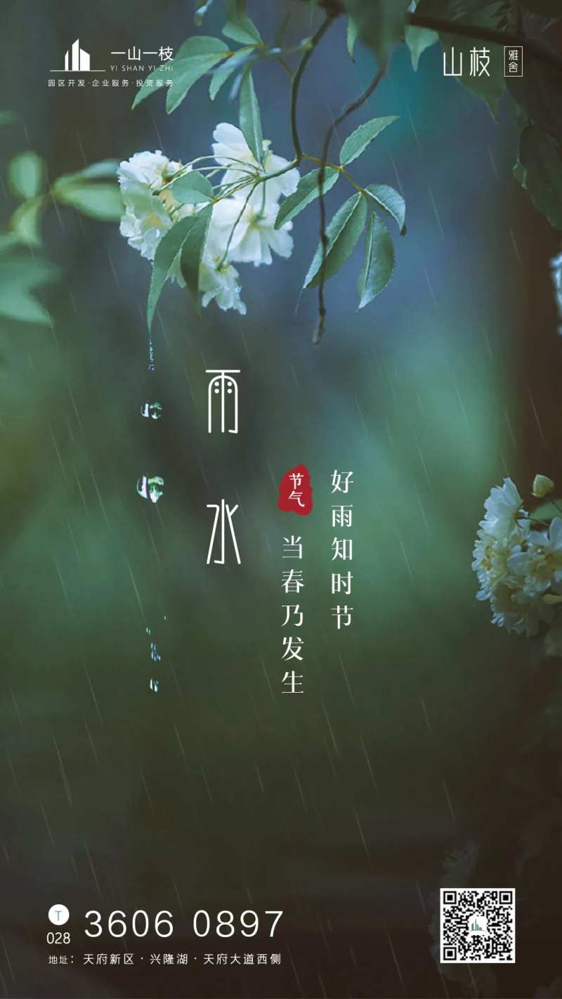 雨水节气海报-采灵感-cailinggan.com