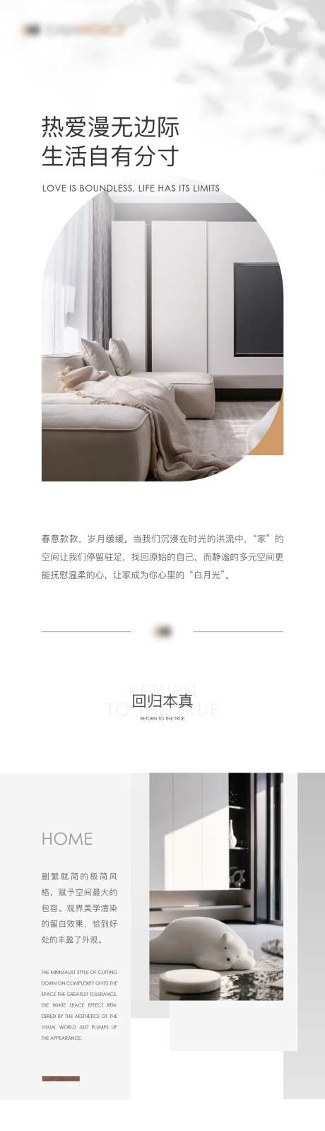 品牌介绍长图海报-采灵感-https://www.cailinggan.com/