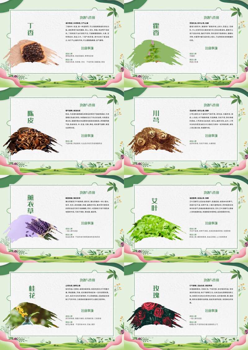 中药介绍海报香囊组合-采灵感-cailinggan.com