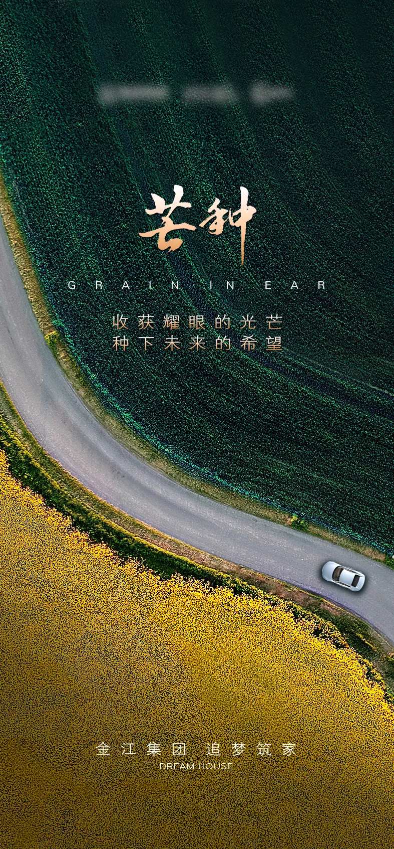 房地产芒种海报-采灵感-cailinggan.com