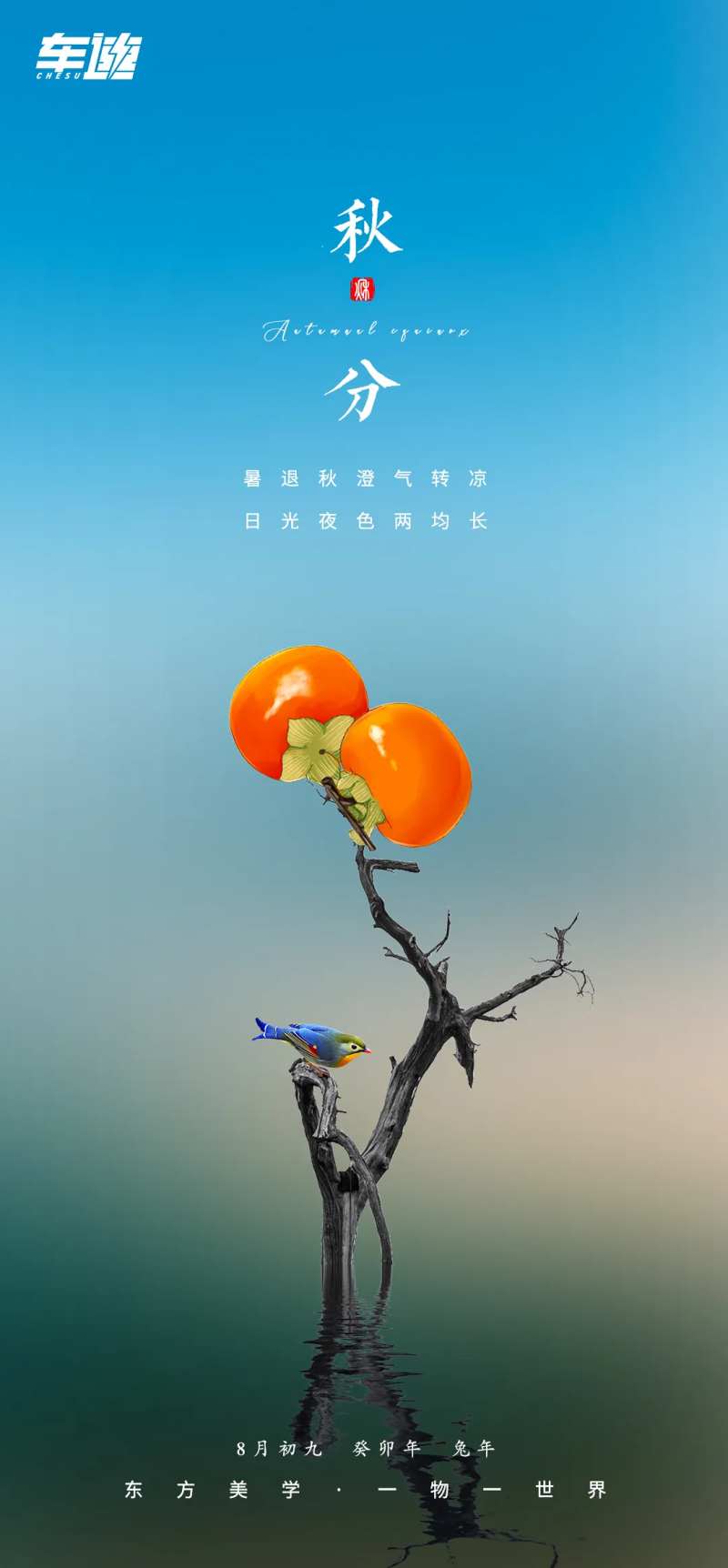 柿子熟了秋分海报-采灵感-cailinggan.com