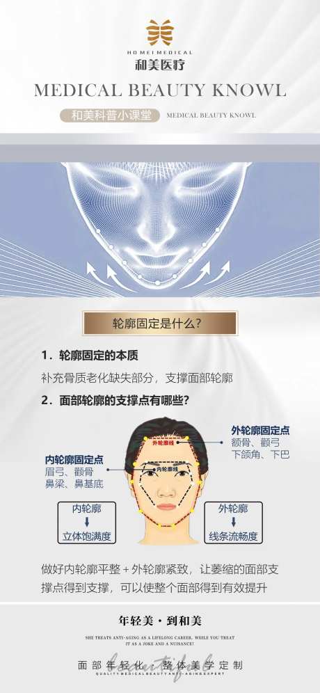 面部轮廓固定科普海报-采灵感-https://www.cailinggan.com/