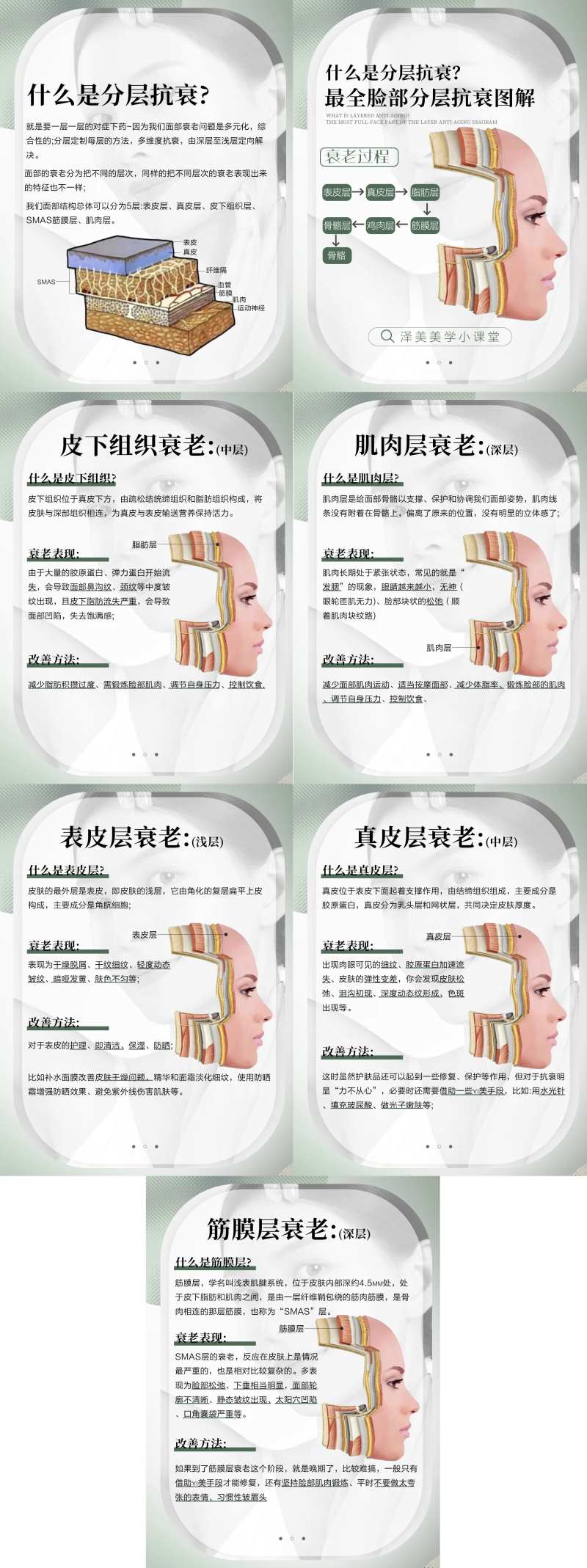 医美知识美学小课堂分层抗衰分解图-采灵感-cailinggan.com