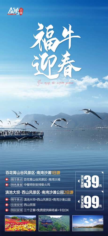 福牛迎春云南昆明滇池大坝海鸥-采灵感-https://www.cailinggan.com/