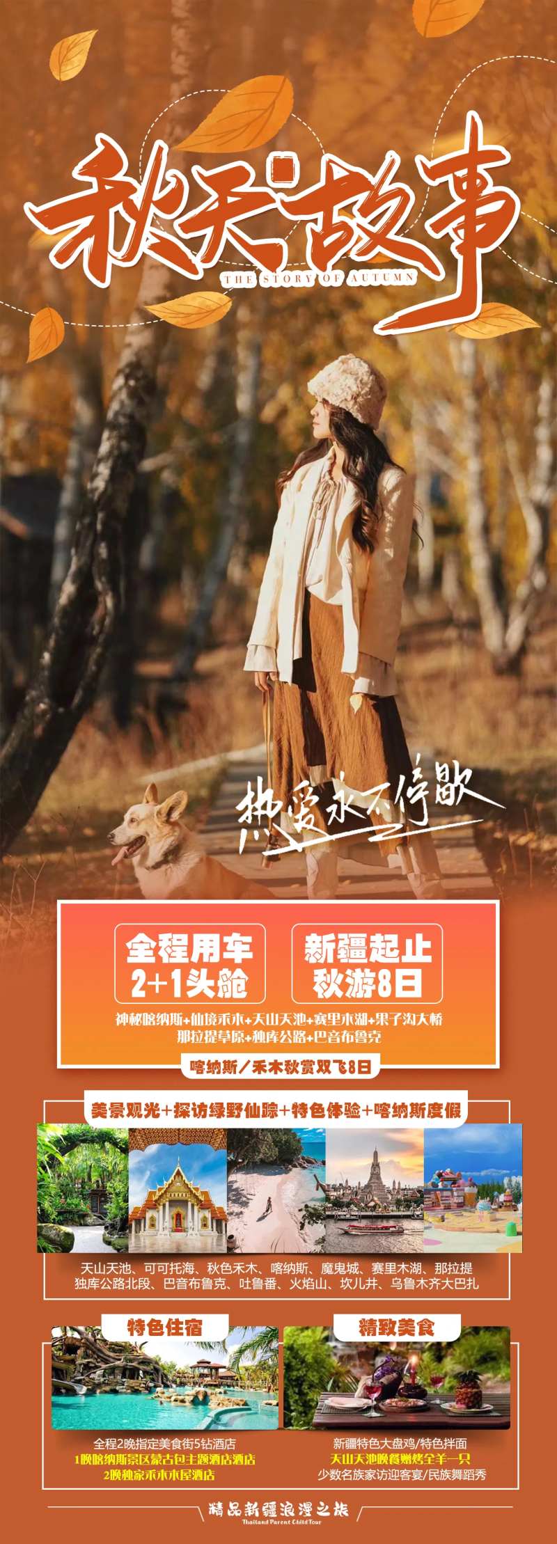 新疆喀纳斯旅游海报-采灵感-cailinggan.com