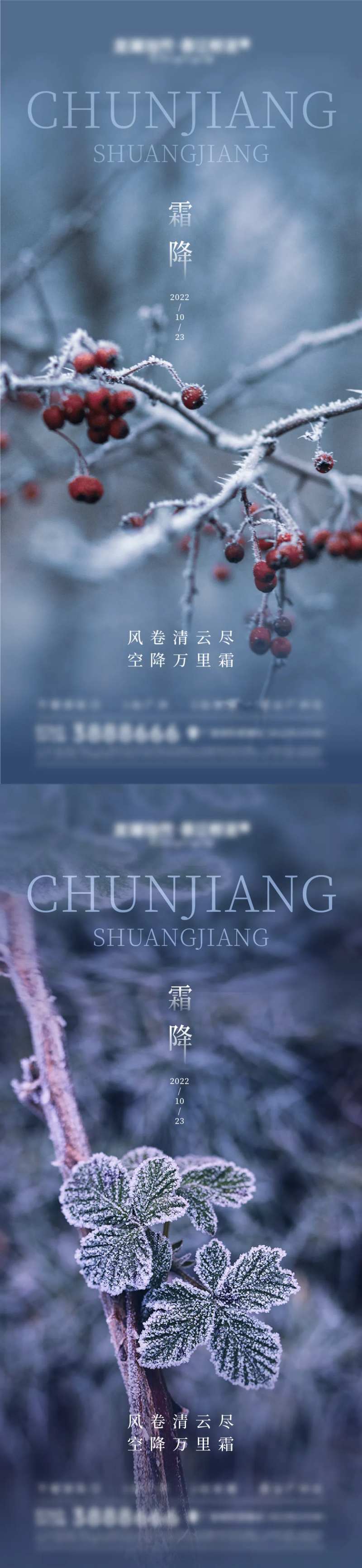 霜降雪景节气海报-采灵感-cailinggan.com