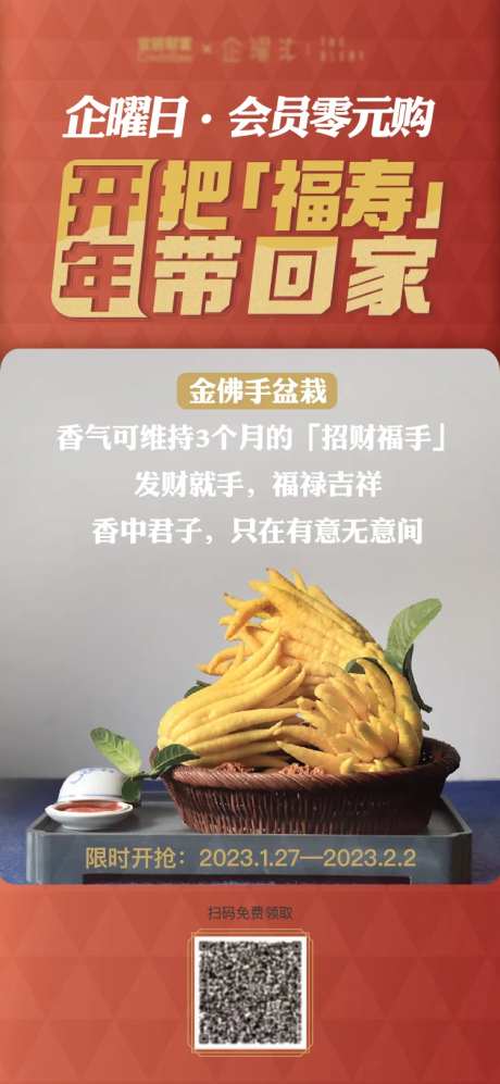 佛手海报-采灵感-https://www.cailinggan.com/