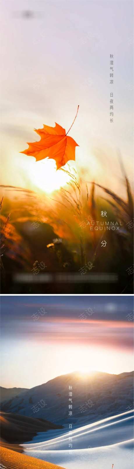 秋分寒露霜降意境海报系列-采灵感-cailinggan.com
