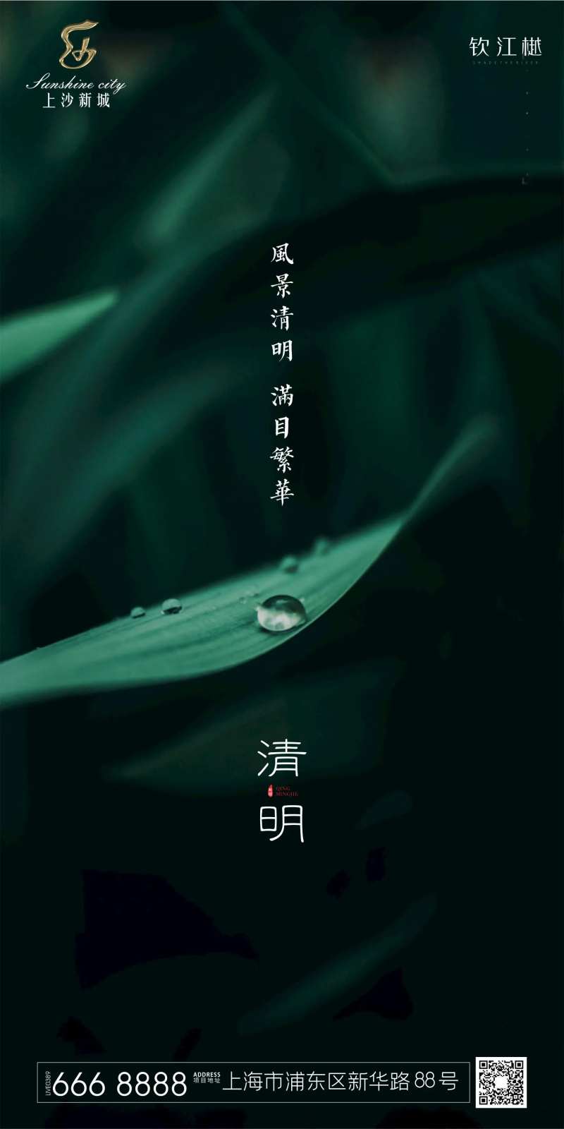 清明节树叶简约海报-采灵感-cailinggan.com