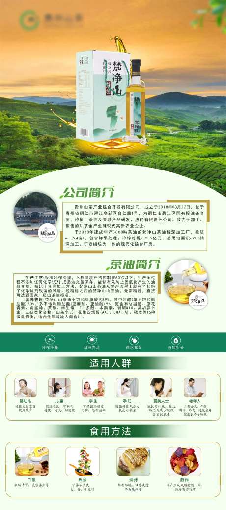 茶油简介展架易拉宝-采灵感-https://www.cailinggan.com/