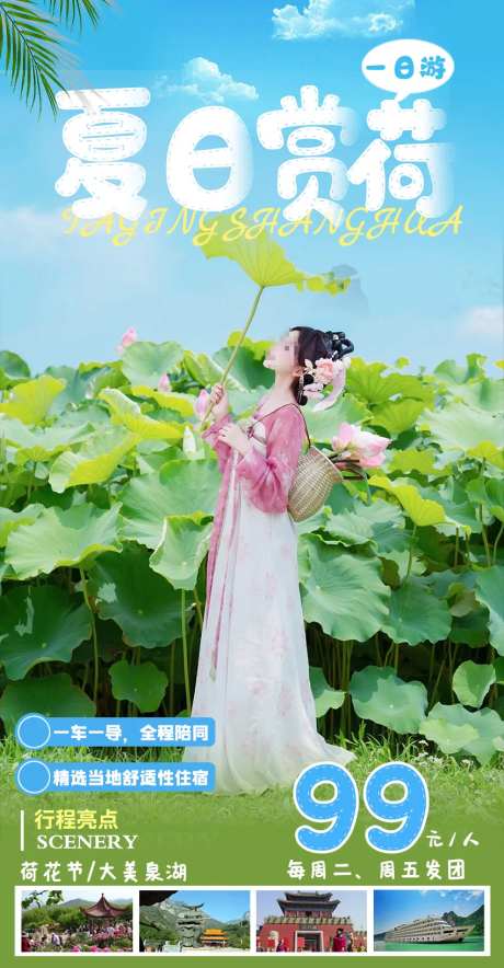 夏日赏荷海报-采灵感-https://www.cailinggan.com/