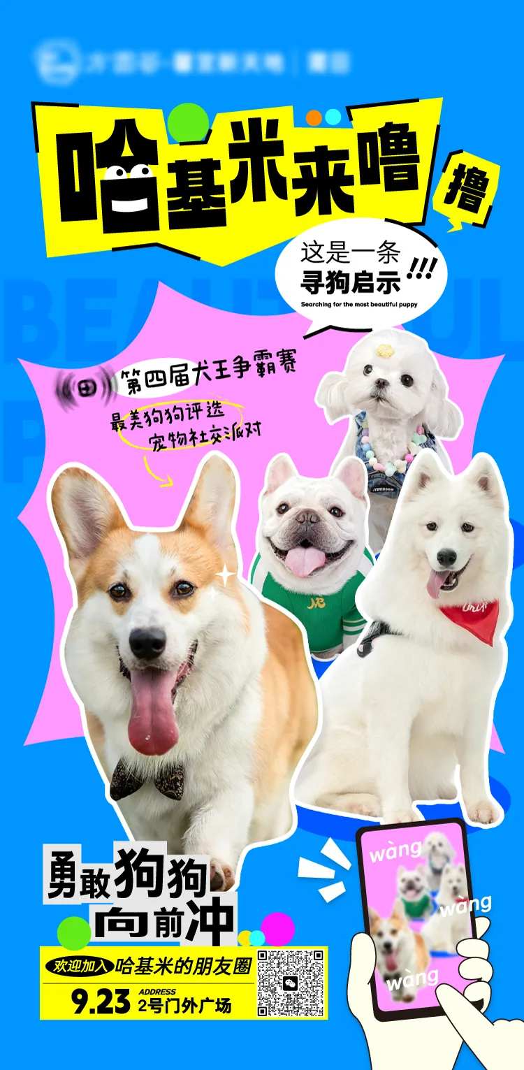 宠物选美招募海报-采灵感-cailinggan.com