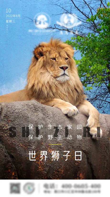 世界狮子日-采灵感-https://www.cailinggan.com/