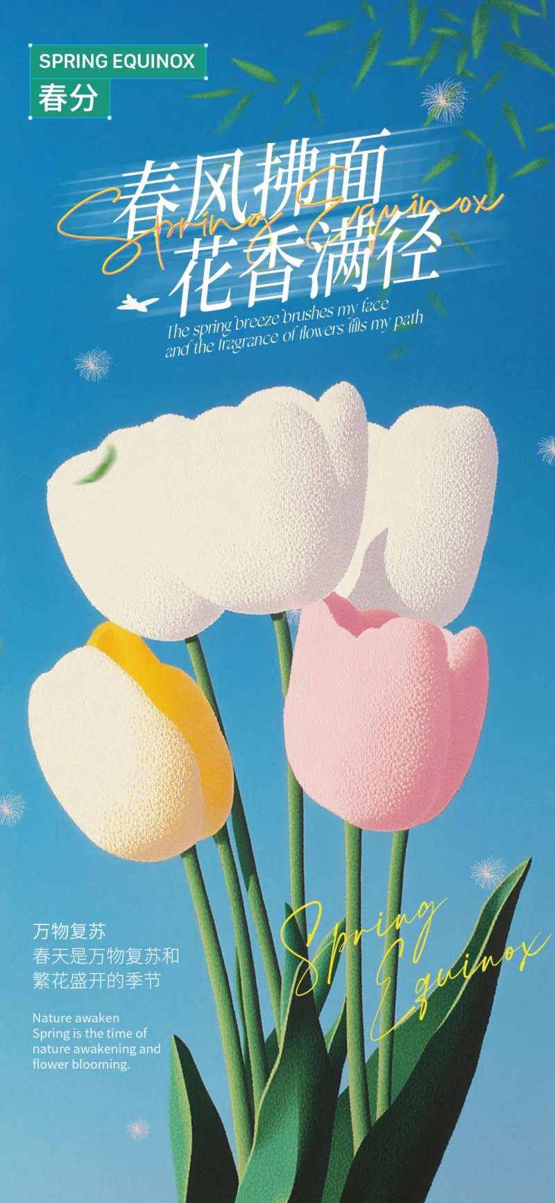 春分郁金香海报-采灵感-cailinggan.com