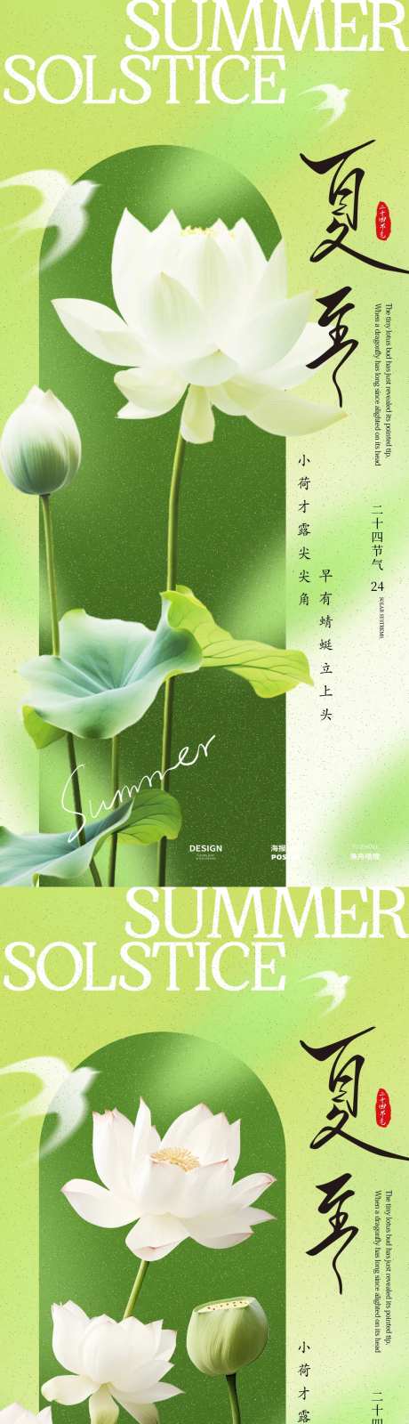 夏至荷花节气海报-采灵感-https://www.cailinggan.com/
