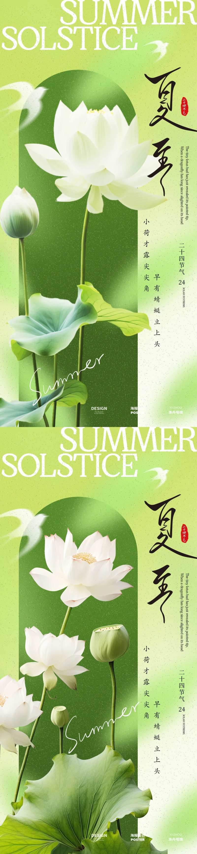 夏至荷花节气海报-采灵感-cailinggan.com