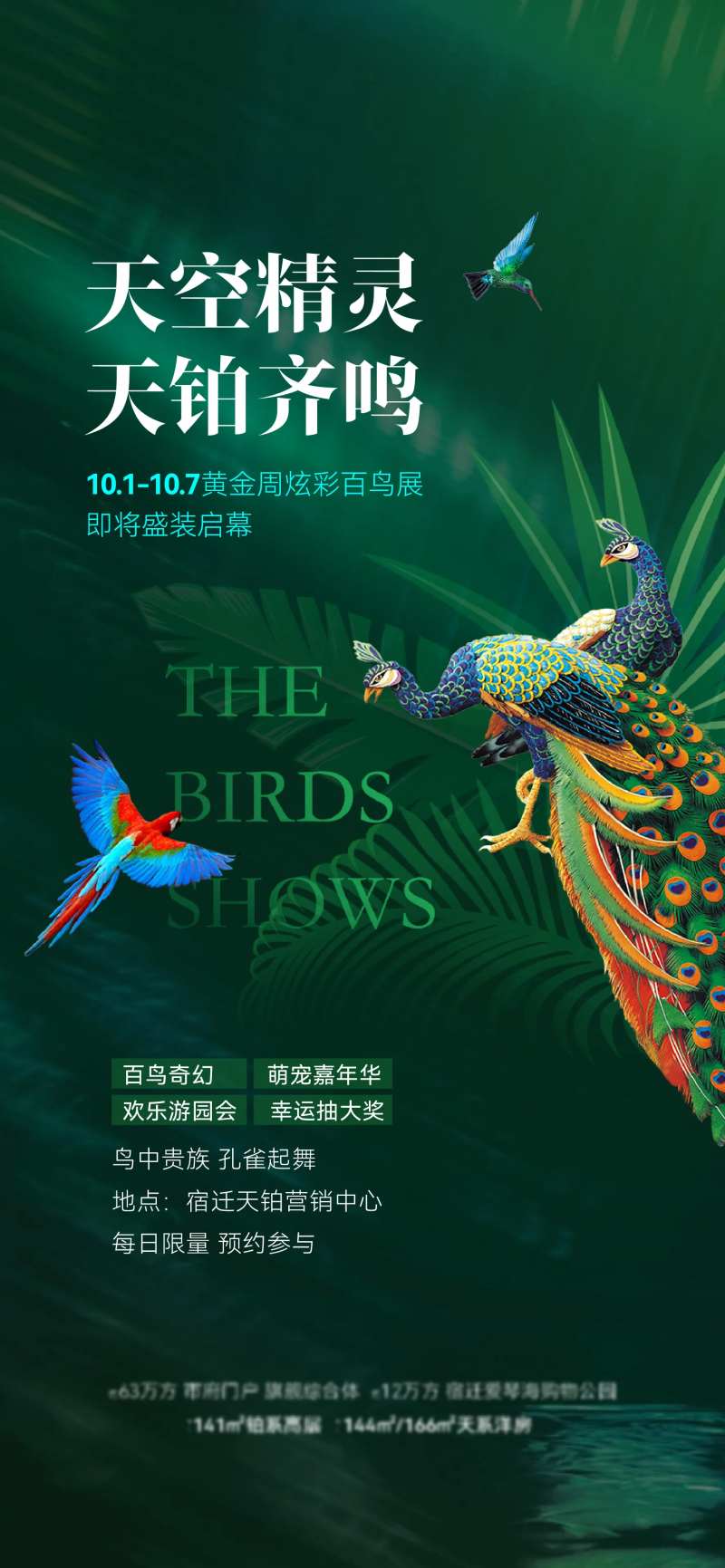 百鸟展海报-采灵感-cailinggan.com