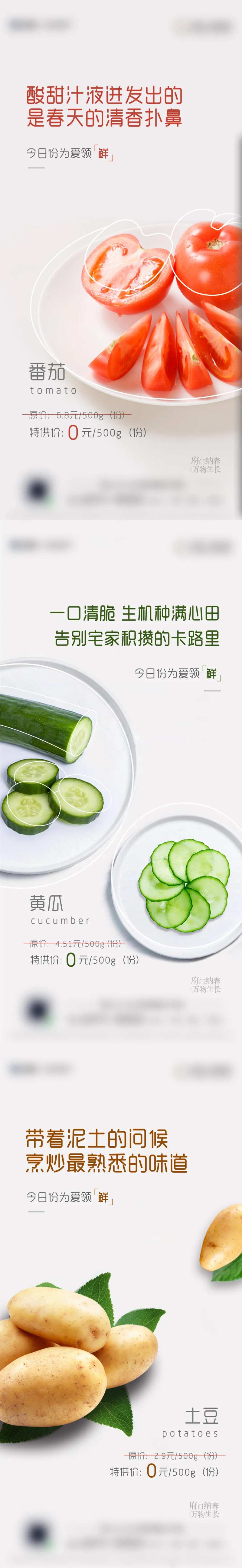 送蔬菜系列单图-采灵感-cailinggan.com