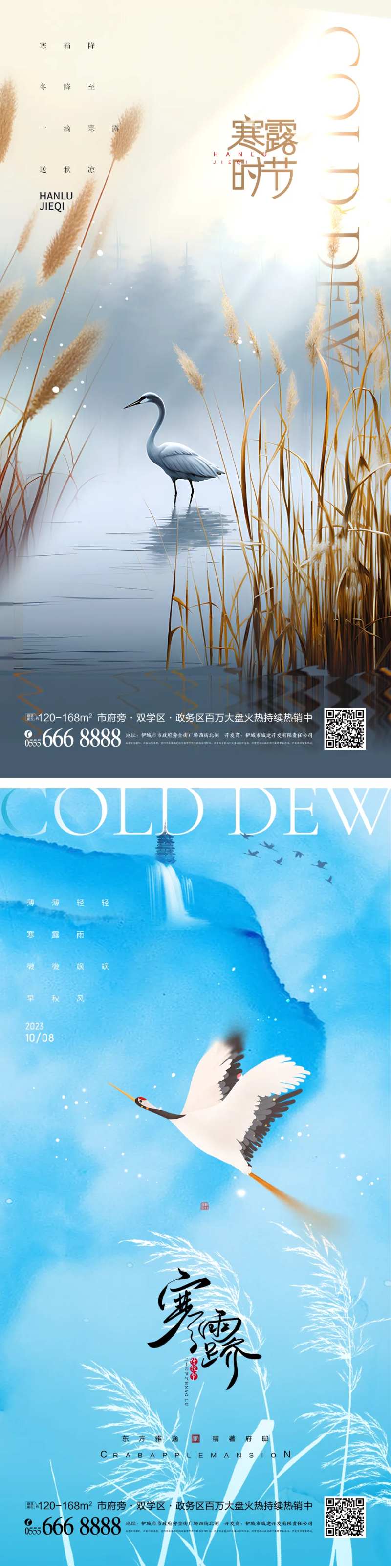 寒露飞鹤二十四节气海报-采灵感-cailinggan.com