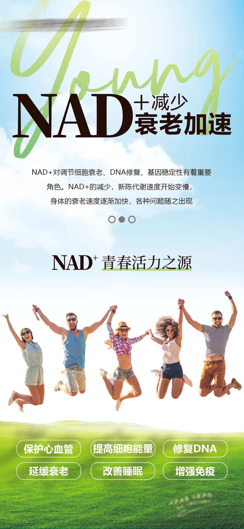 NAD+海报-采灵感-cailinggan.com