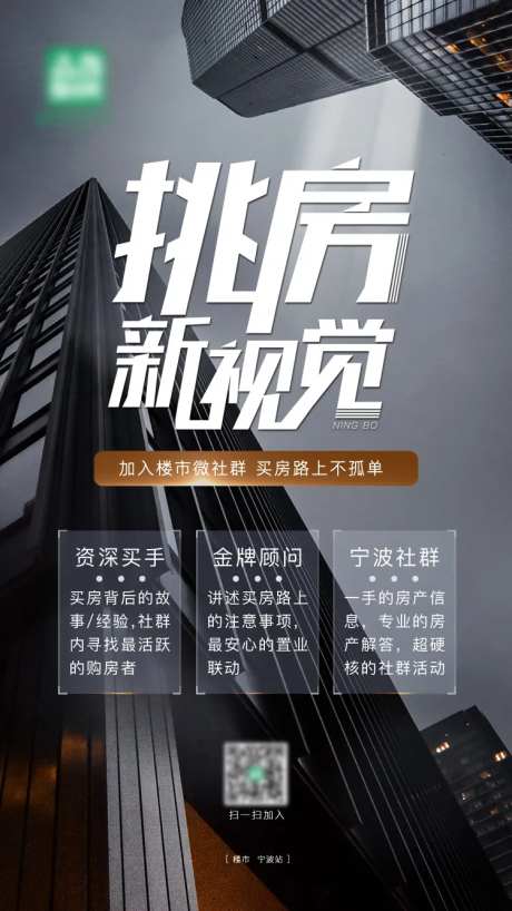 挑房新视野海报-采灵感-https://www.cailinggan.com/