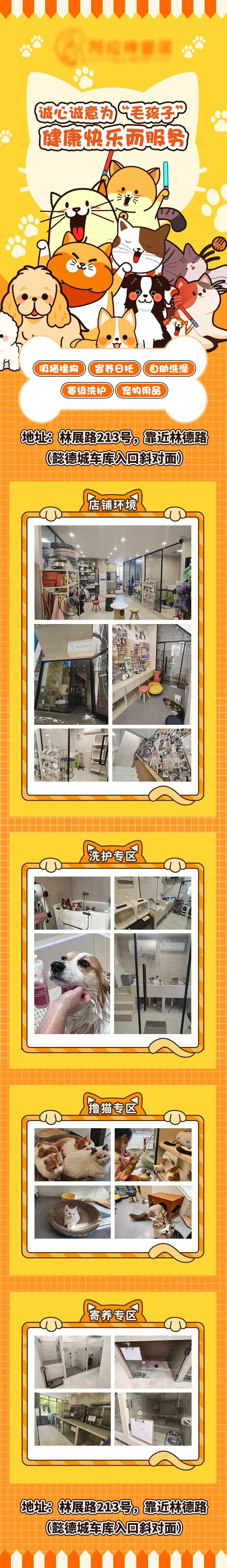 宠物店活动长图-采灵感-cailinggan.com