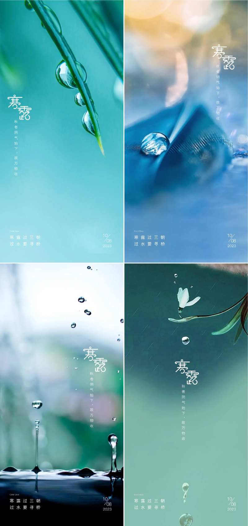 寒露24节气水珠海报-采灵感-cailinggan.com