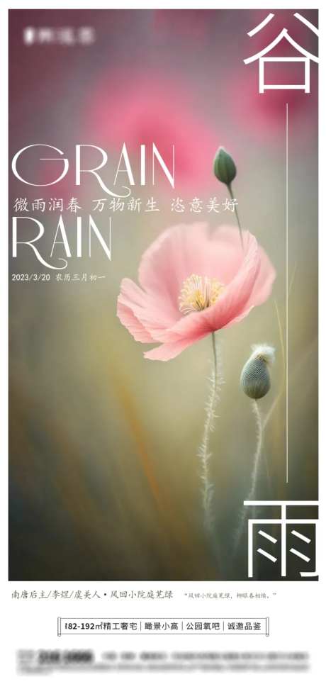 虞美人谷雨节气海报-采灵感-https://www.cailinggan.com/