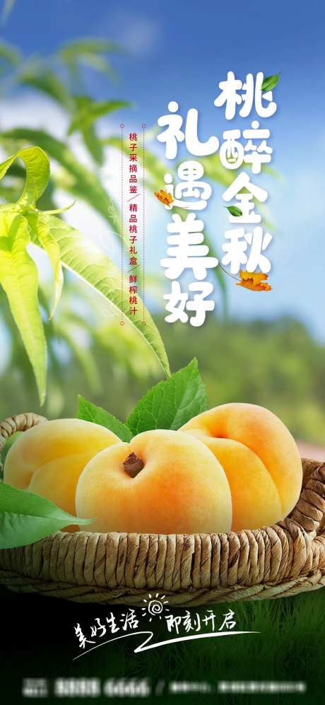 黄桃采摘活动海报-采灵感-https://www.cailinggan.com/