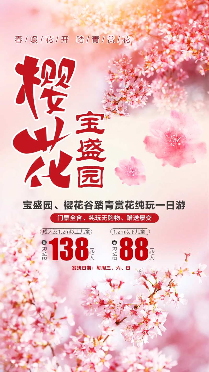 樱花谷踏青赏花一日游海报-采灵感-cailinggan.com