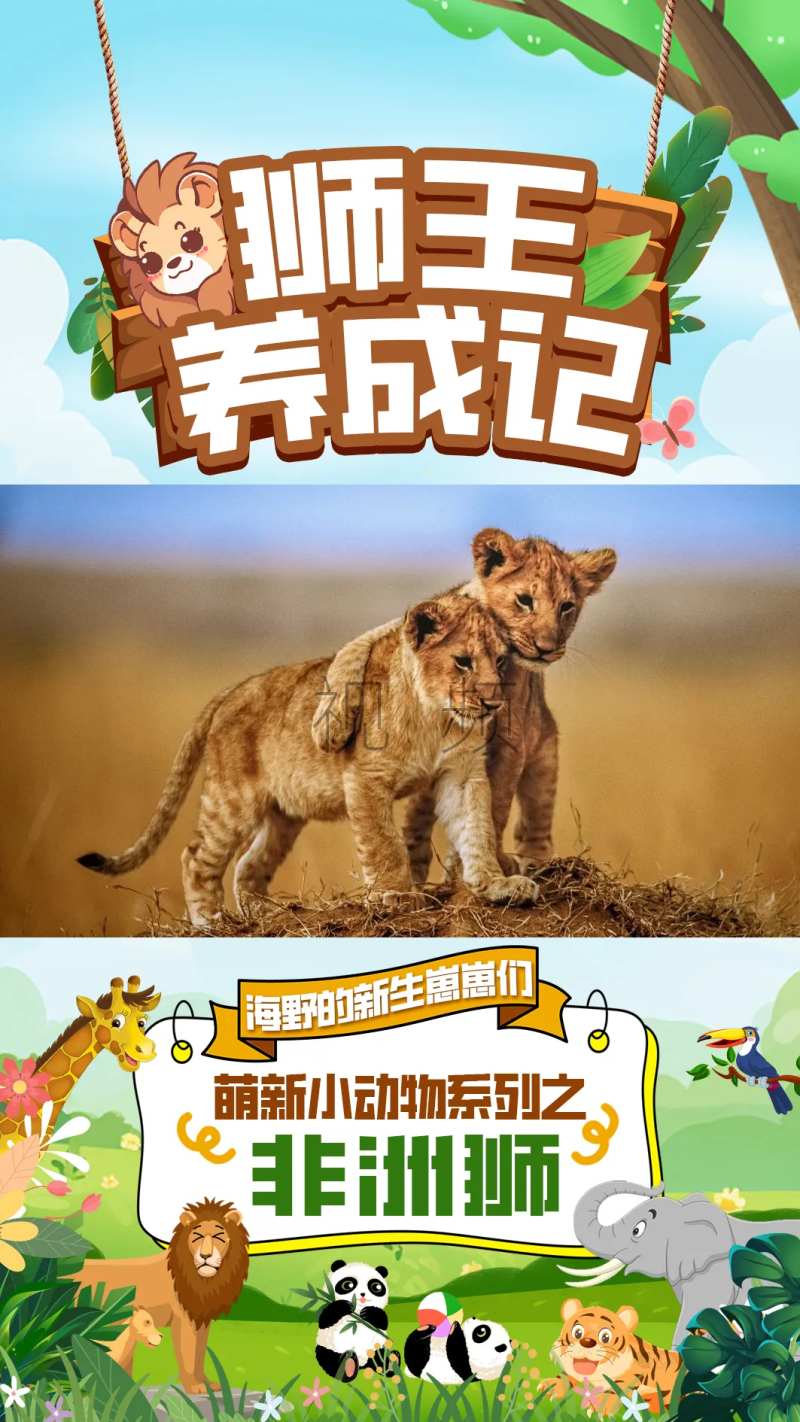 野生动物园视频封面-采灵感-cailinggan.com