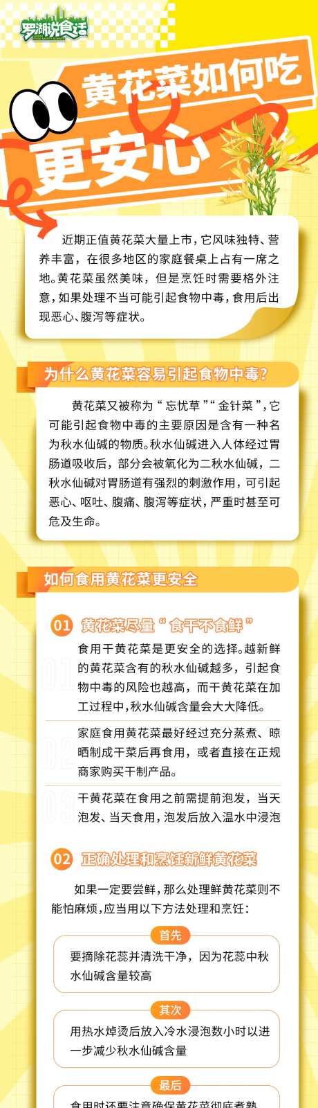 黄花菜如何吃更安心科普海报长图-采灵感-https://www.cailinggan.com/