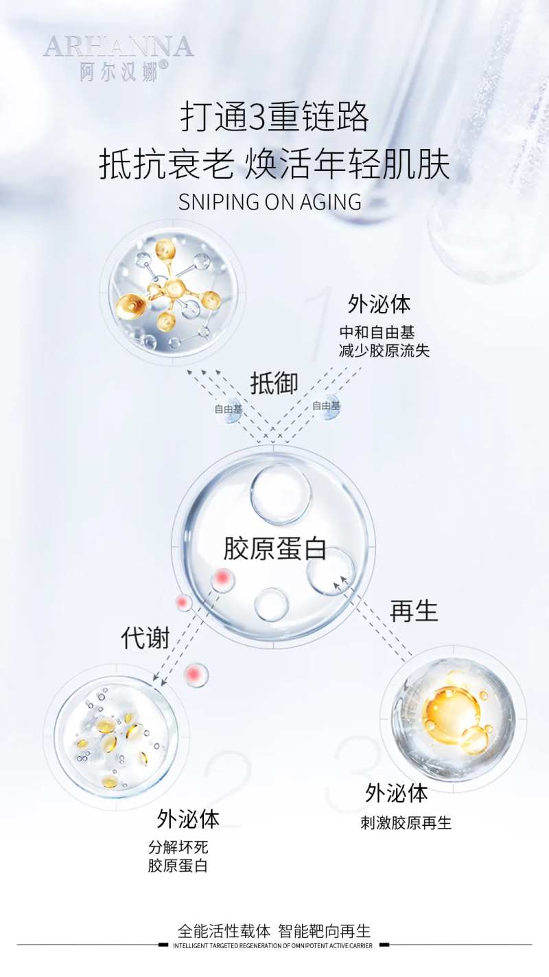 外泌体原理海报-采灵感-cailinggan.com