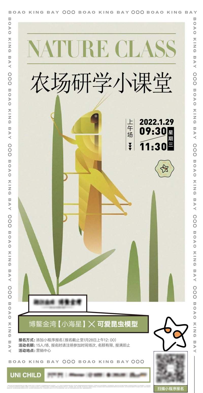 昆虫标本-采灵感-cailinggan.com