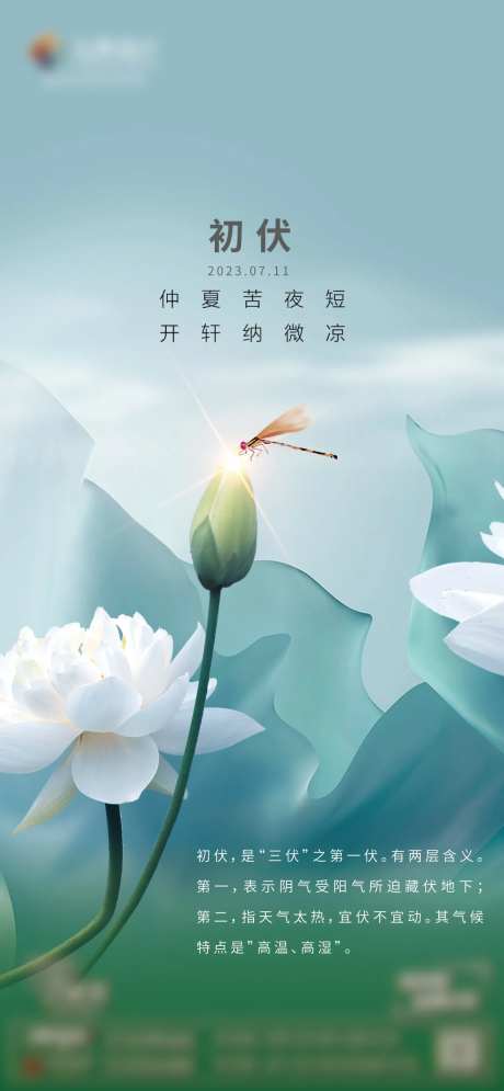 初伏海报-采灵感-https://www.cailinggan.com/