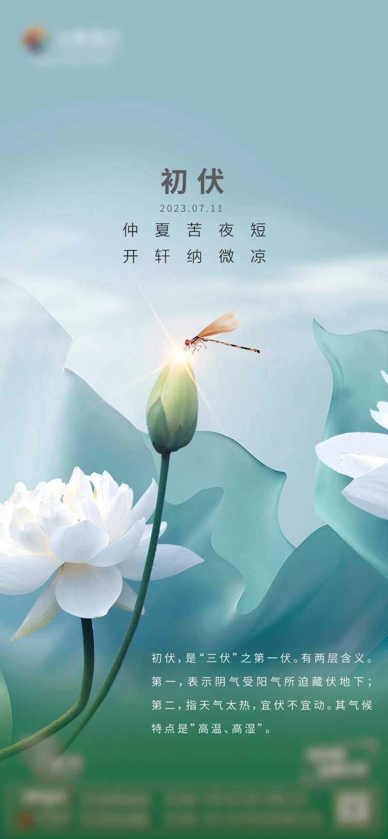 初伏海报-采灵感-cailinggan.com