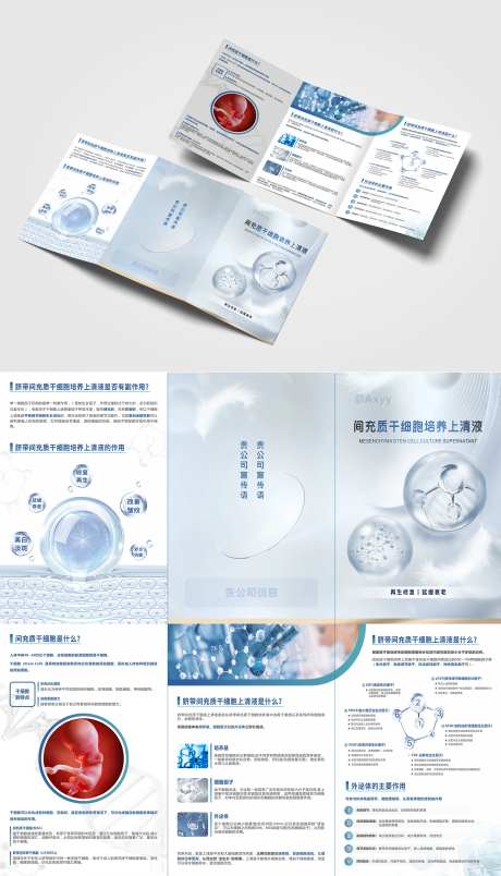 细胞因子宣传三折页-采灵感-https://www.cailinggan.com/