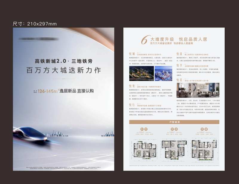 地产高铁新城DM宣传单-采灵感-cailinggan.com