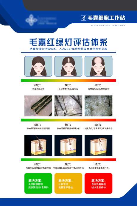 毛囊红绿灯评估体系-采灵感-https://www.cailinggan.com/