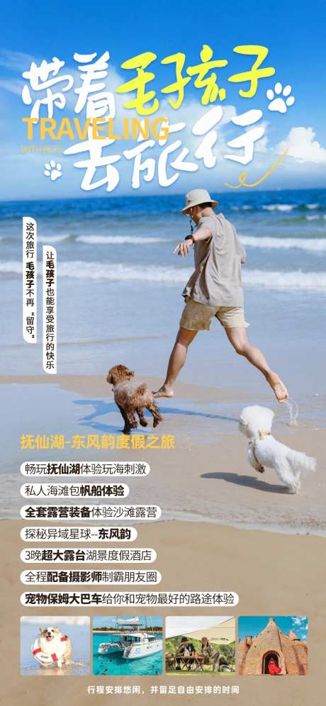 带着毛孩子去旅行云南旅游海报 -采灵感-https://www.cailinggan.com/