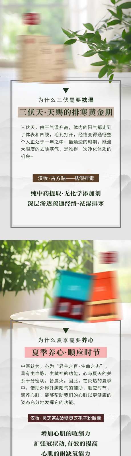 三伏天养生产品海报-采灵感-https://www.cailinggan.com/