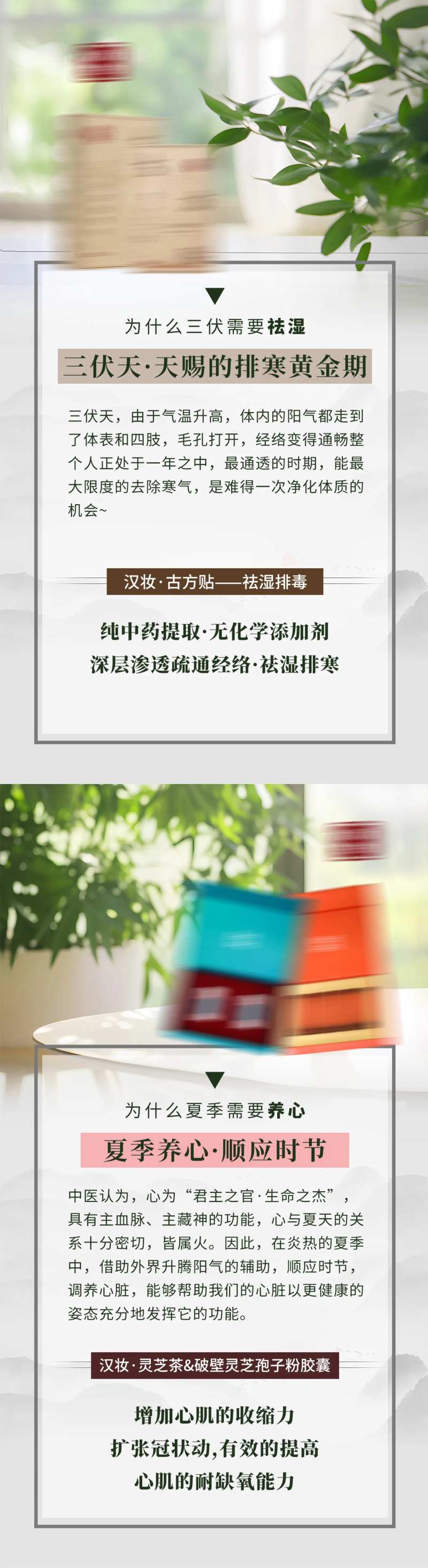 三伏天养生产品海报-采灵感-cailinggan.com